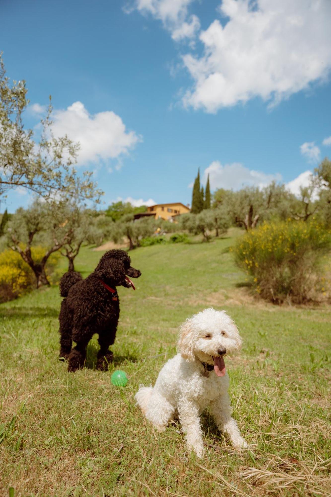 פרוג'ה Agriturismo San Felicissimo מראה חיצוני תמונה